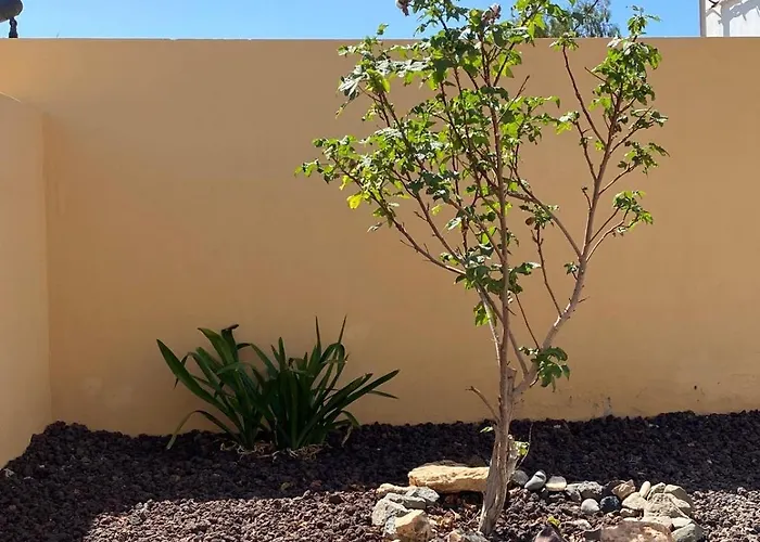 Casa Yamile Сasa de vacaciones *